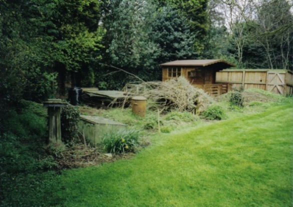 Veg Plot in Spring 2001